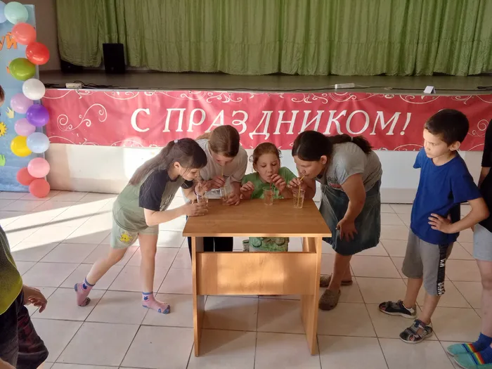 на фотографии участники игровой программы (4)