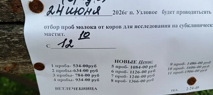 на фото фагмент мероприятия Внуки помнят (2)