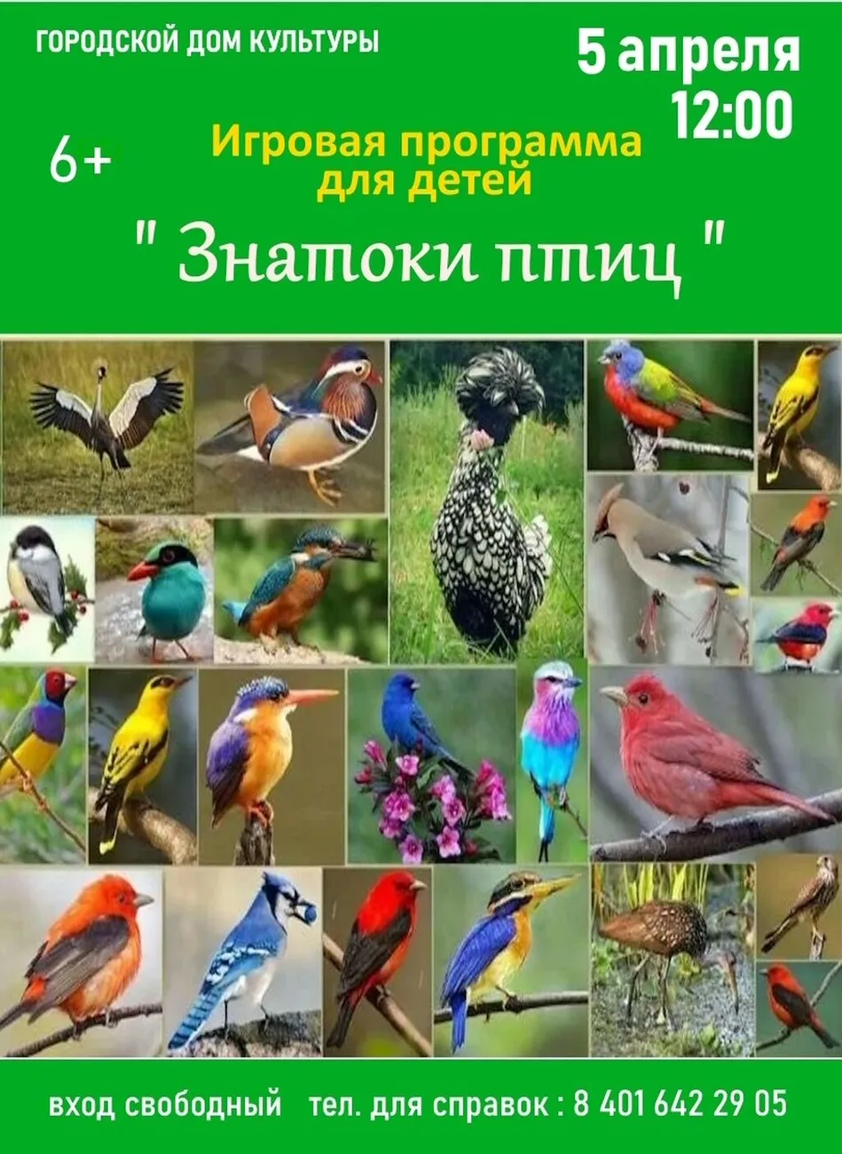 Афиша Игровая программа