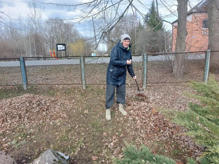 На фотографии уборка прошлогодней листвы