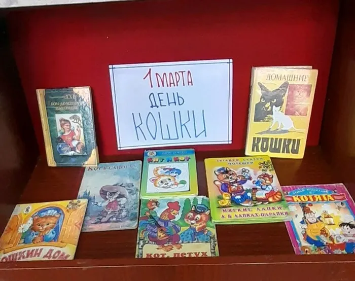 книжная выставка ко дню кошек