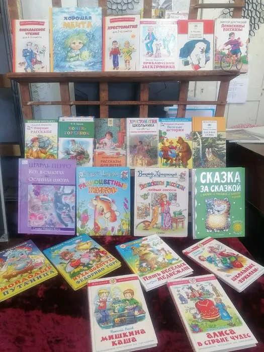 на фото книжная выставка